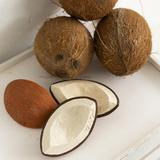 Teether bath toy for toddlers - Coco the coconut par Oli&Carol - Bath toys | Jourès Canada