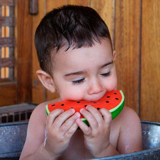 Teether bath toy - Wally the watermelon par Oli&Carol - Bath toys | Jourès Canada
